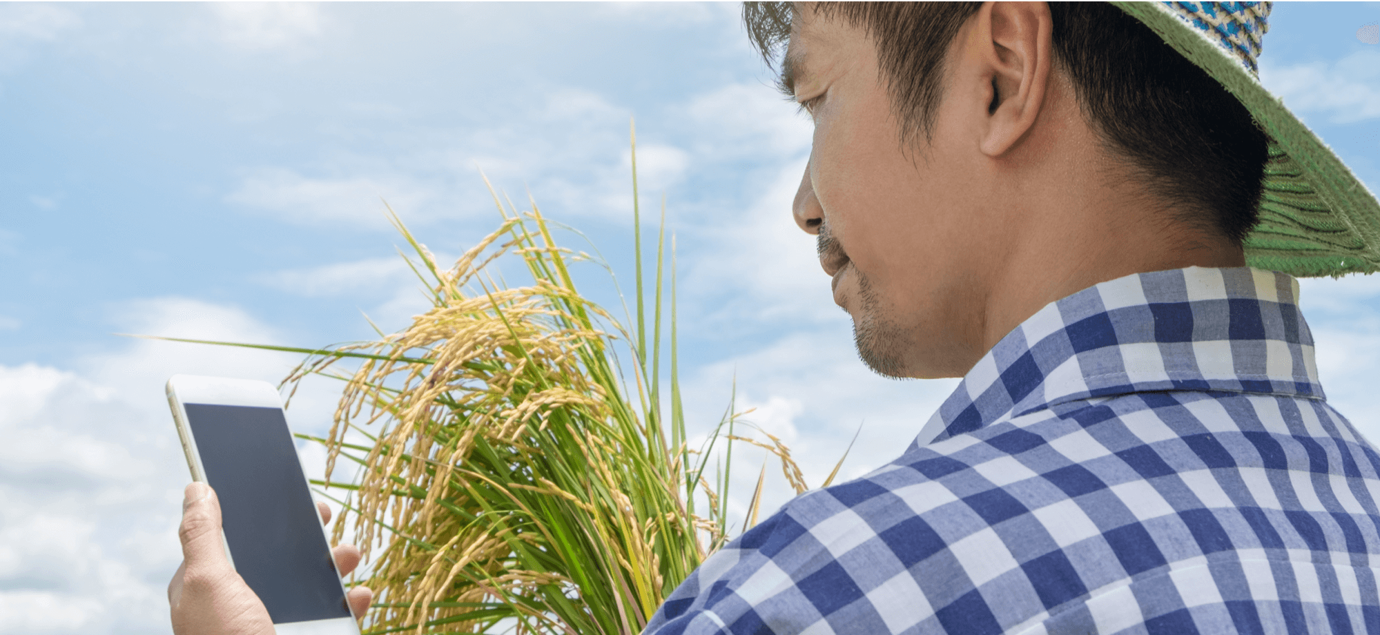 Rural Banks rooting for the PH Agricultural Sector