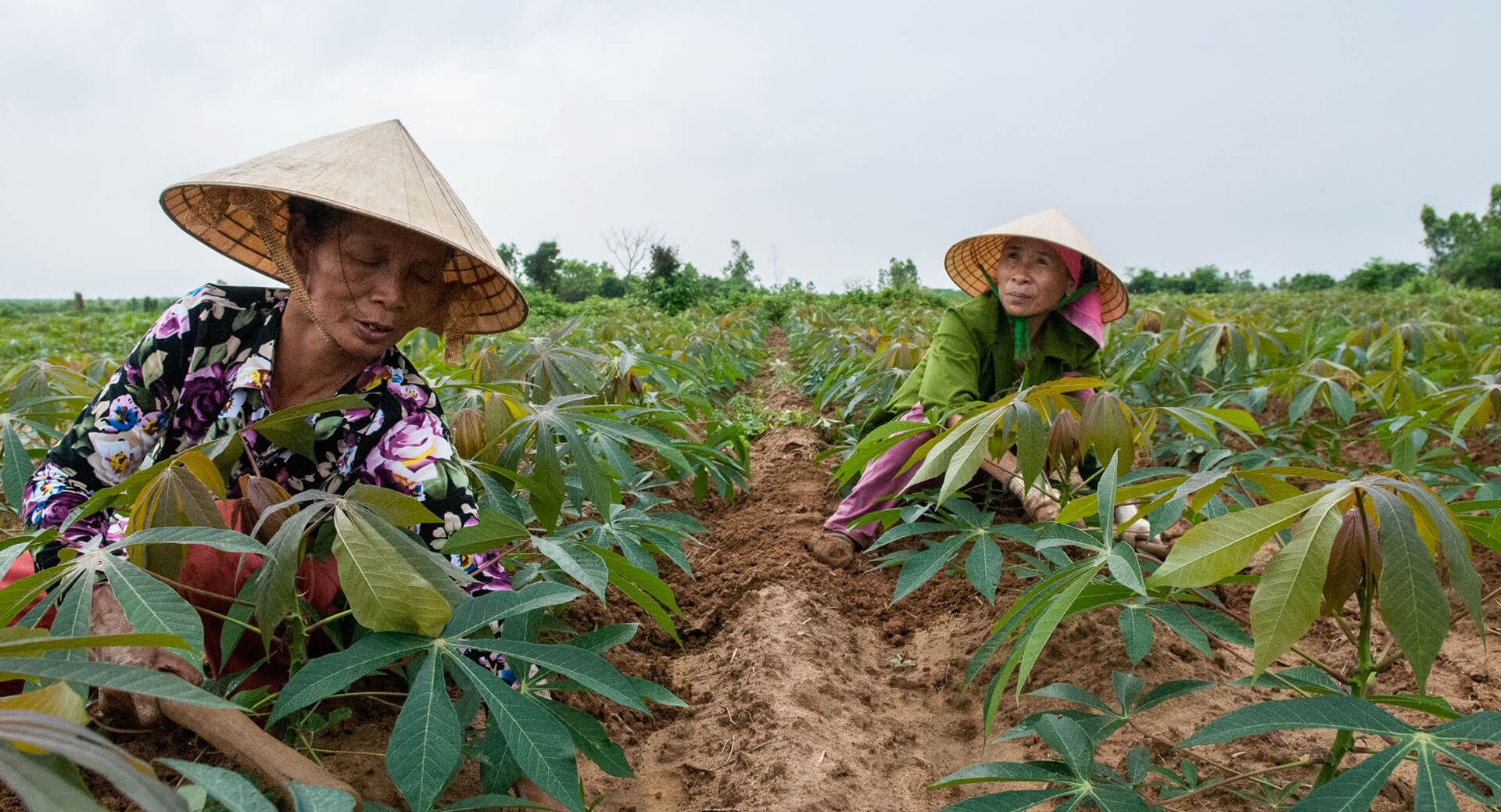 Helping Farmers in the PH