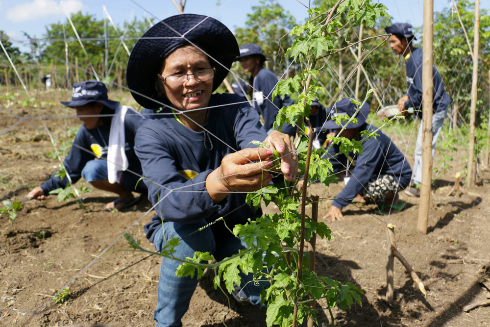 Agribusiness Opportunities