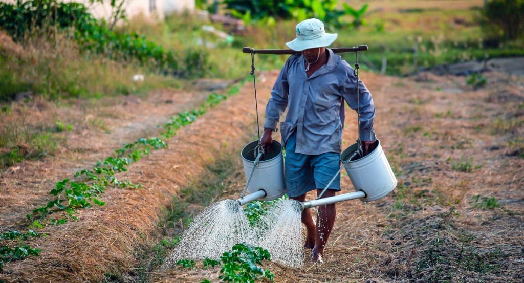 LIST: Department of Agriculture’s Loan Programs for Farmers and Agripreneurs