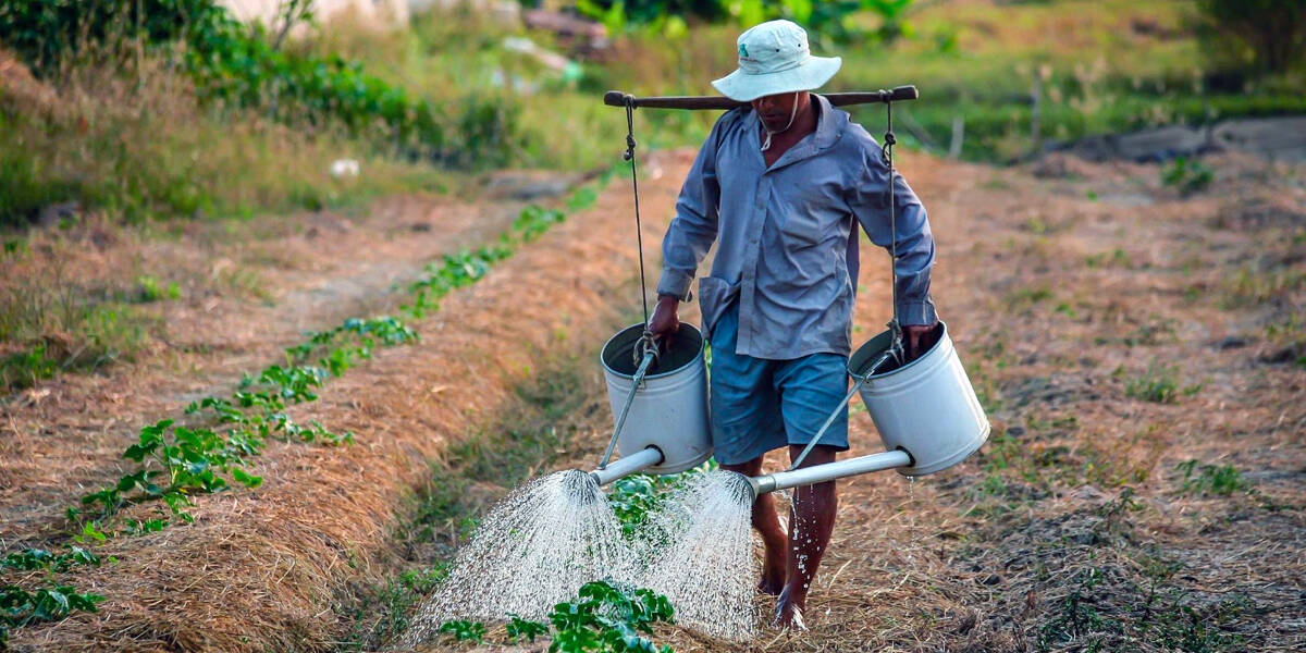 LIST: Department of Agriculture’s Loan Programs for Farmers and Agripreneurs