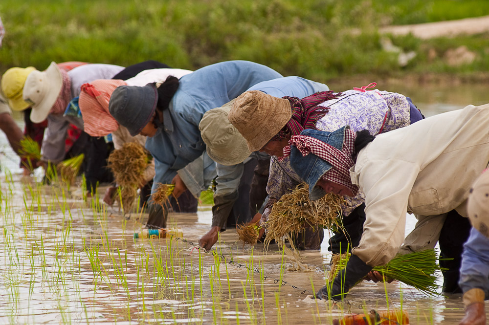 Empowering Agriculture Through Financial Support