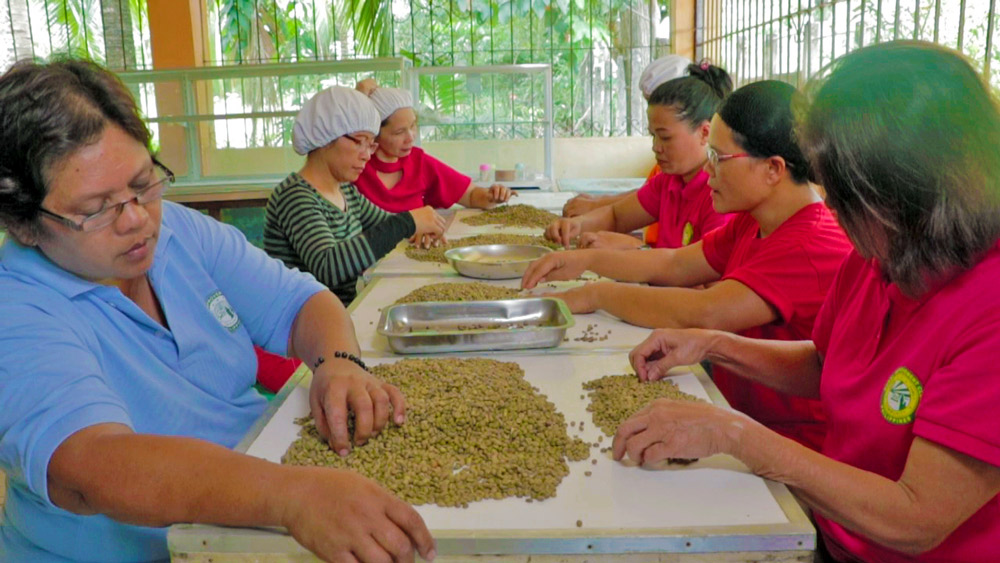 Improving Rural Employment