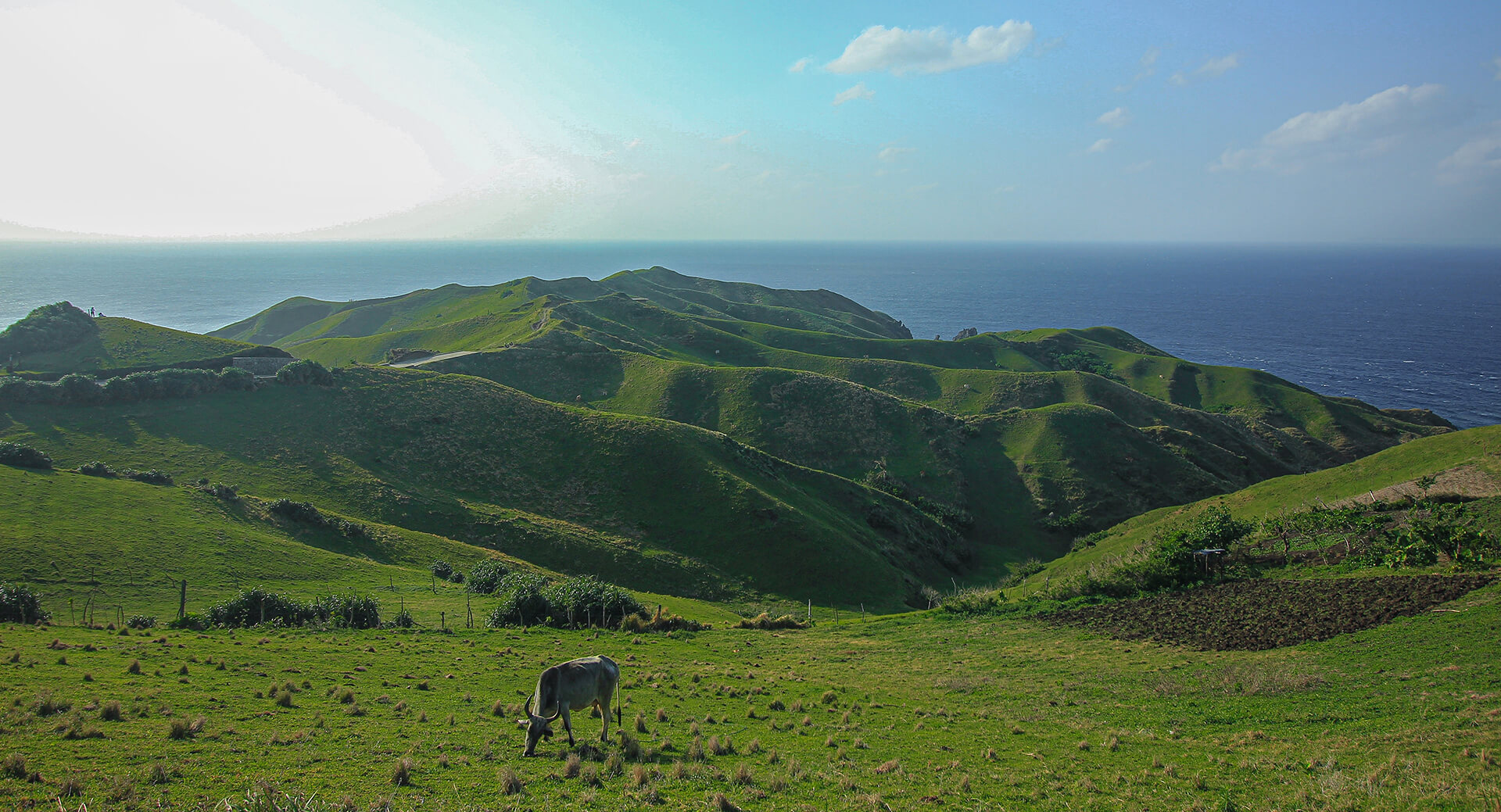 Dawn Of A New Agricultural Decade