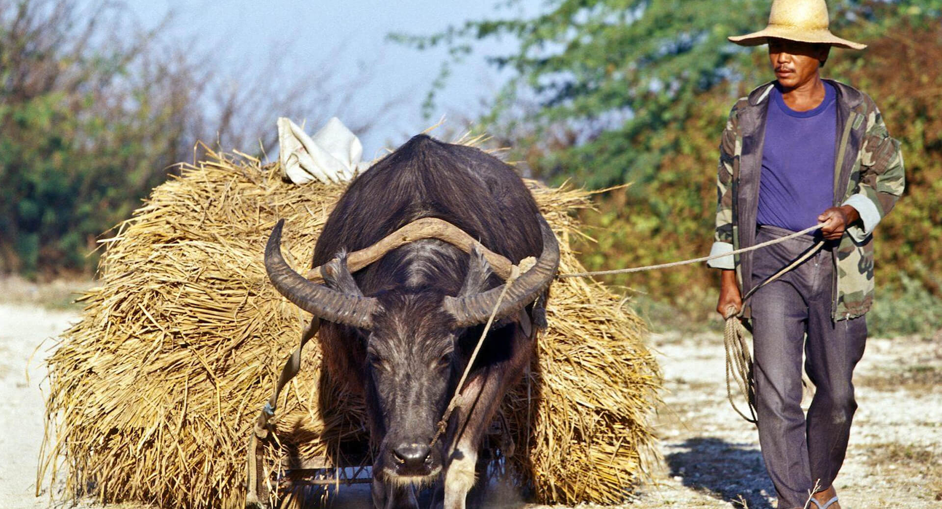 The Future of Farmers in the Philippines