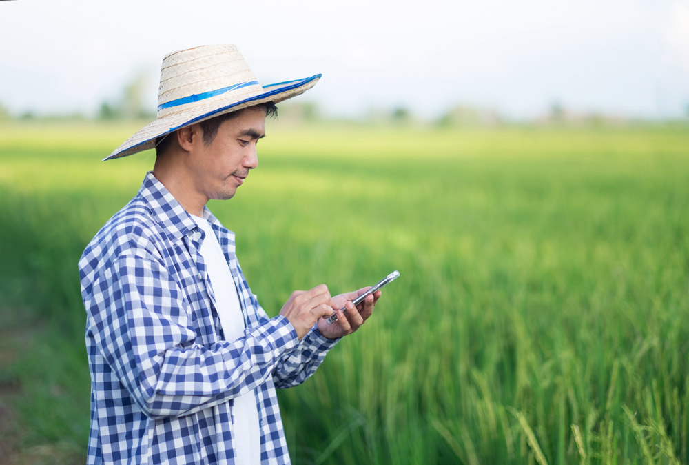 The Role of E-Payments in Financial Inclusion