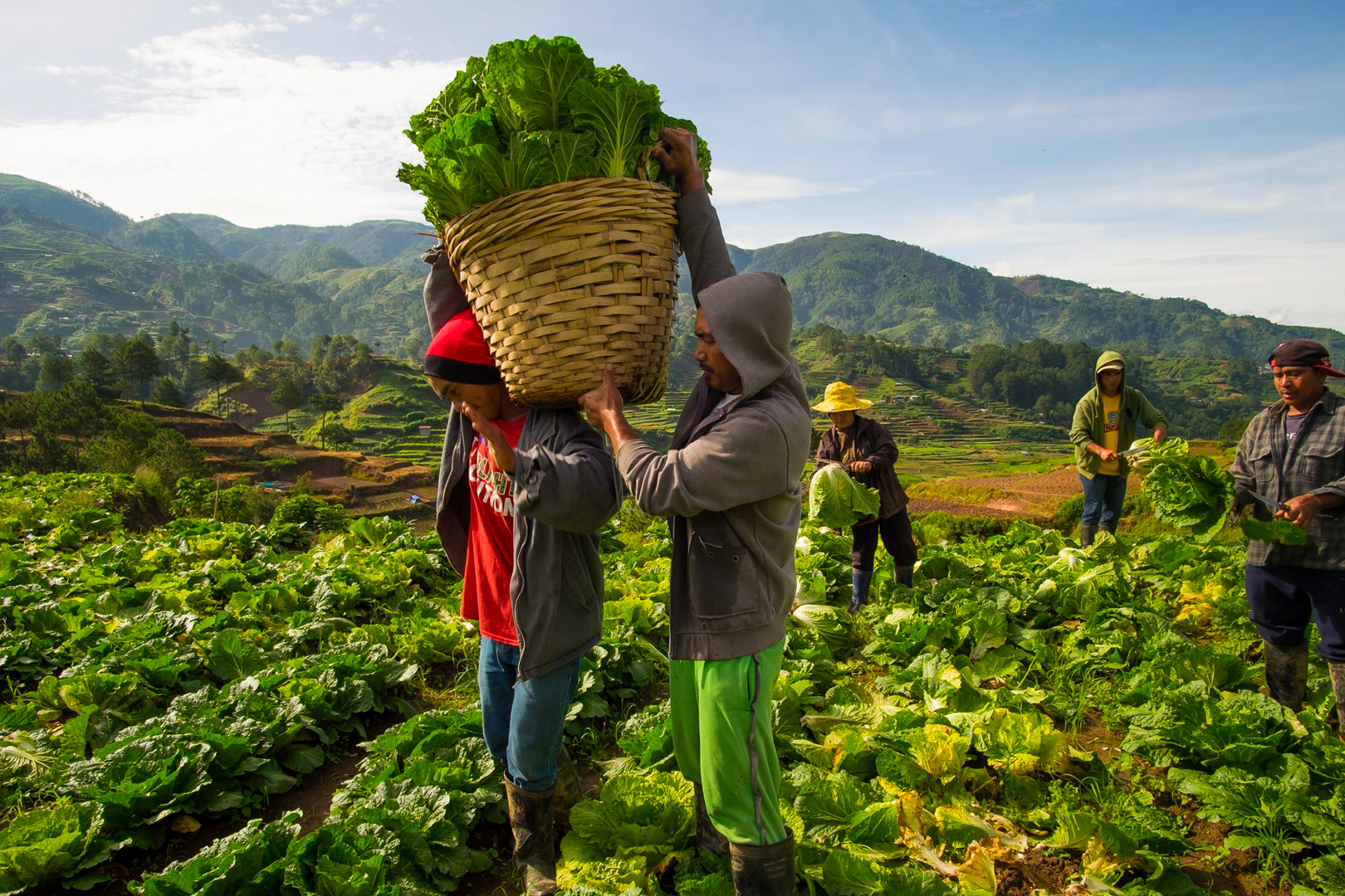 Boosting Countryside Development in the Philippines: Livelihood Opportunities for Filipinos Banner