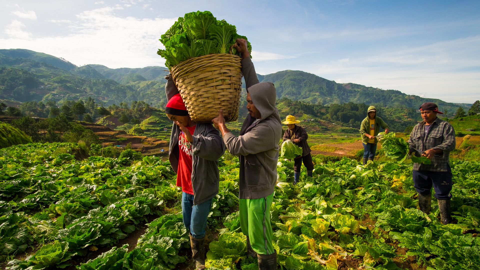 Boosting Countryside Development in the Philippines: Livelihood Opportunities for Filipinos Banner